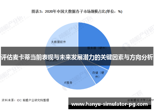 评估麦卡蒂当前表现与未来发展潜力的关键因素与方向分析