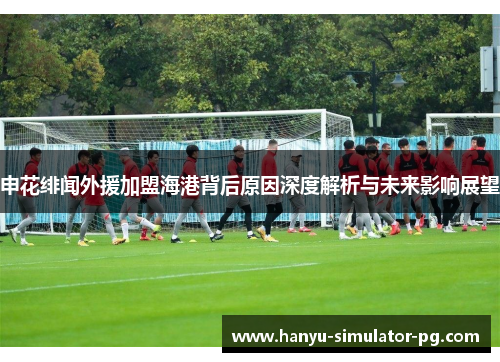 申花绯闻外援加盟海港背后原因深度解析与未来影响展望