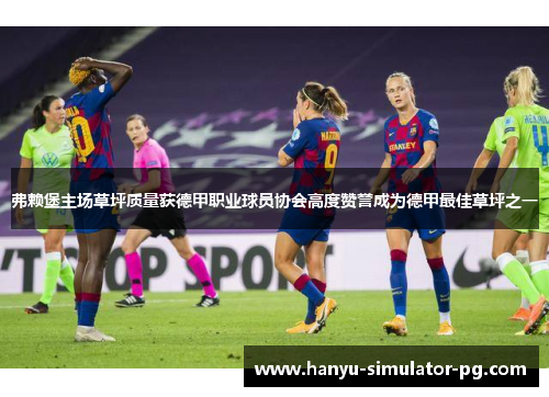 弗赖堡主场草坪质量获德甲职业球员协会高度赞誉成为德甲最佳草坪之一